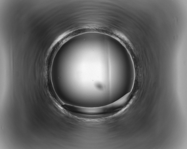 X0000087581114200704271300