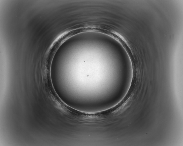 X0000087581115200704271300