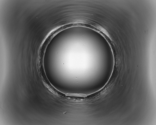 X0000087581116200704271300