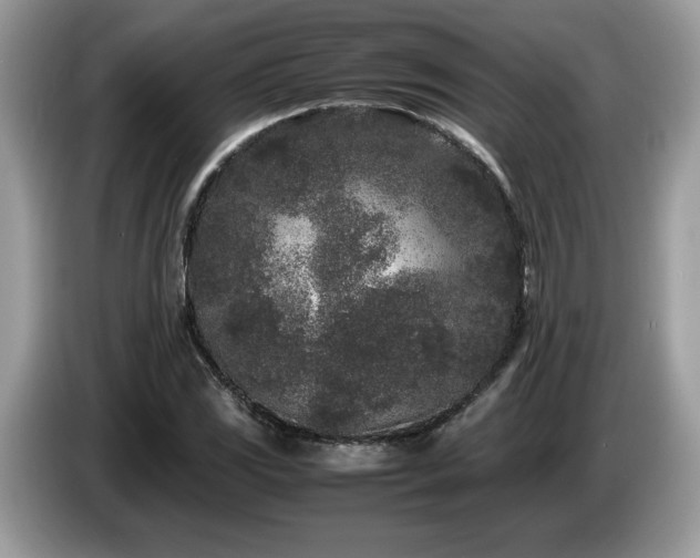 X0000087581117200704271300