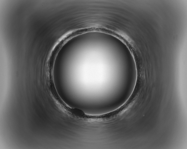 X0000087581118200704271300