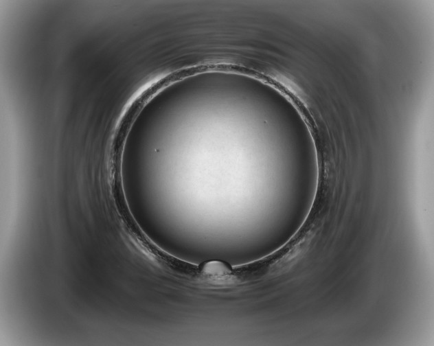X0000087581119200704271300