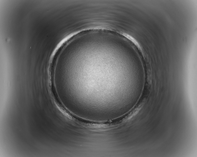 X0000087581120200704271300