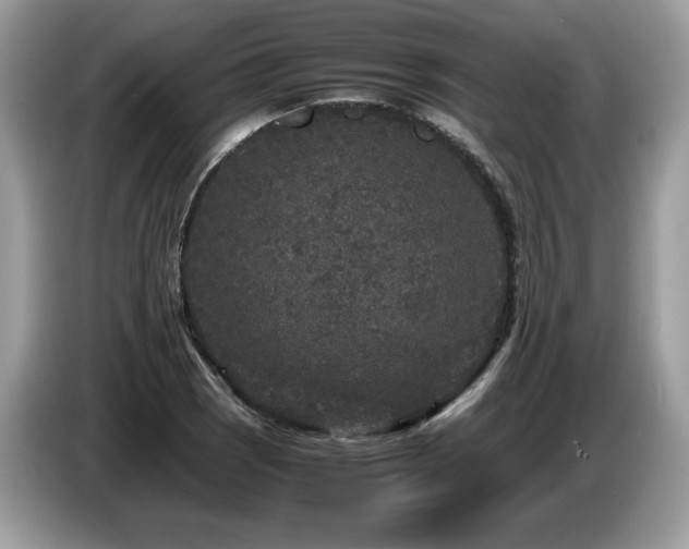 X0000087581121200704271300