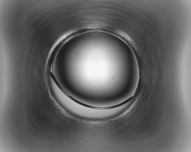 X0000087581122200704271300