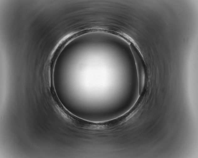 X0000087581123200704271300