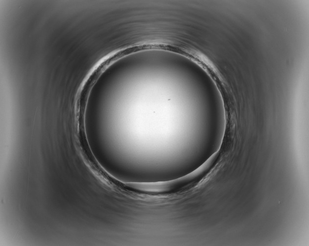 X0000087581124200704271300