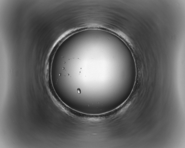 X0000087581126200704271300