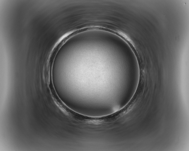 X0000087581127200704271300