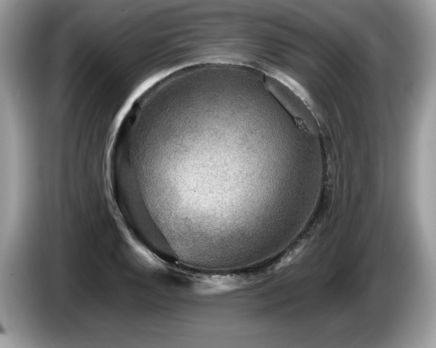 X0000087581128200704271300