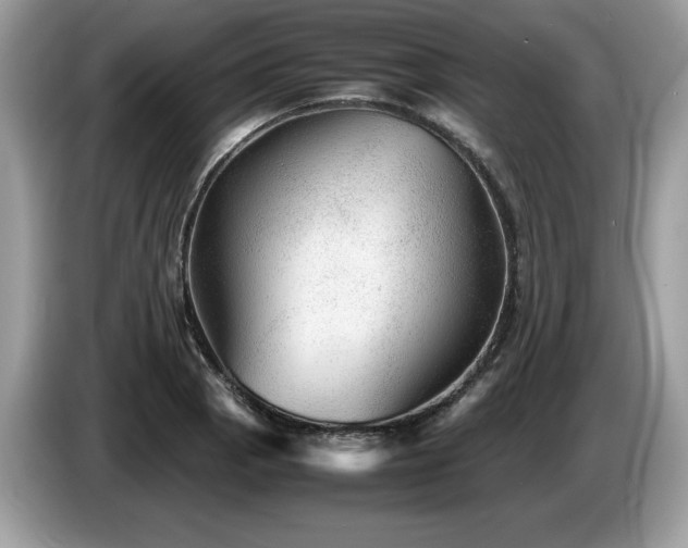 X0000087581129200704271300