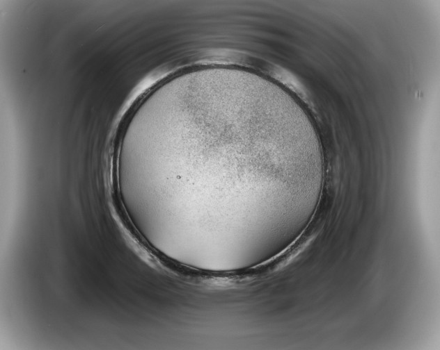 X0000087581130200704271300