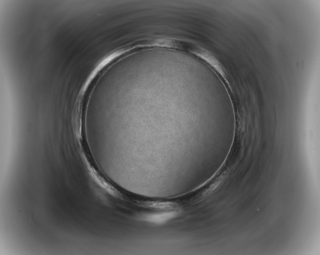 X0000087581131200704271300