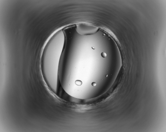 X0000087581132200704271300