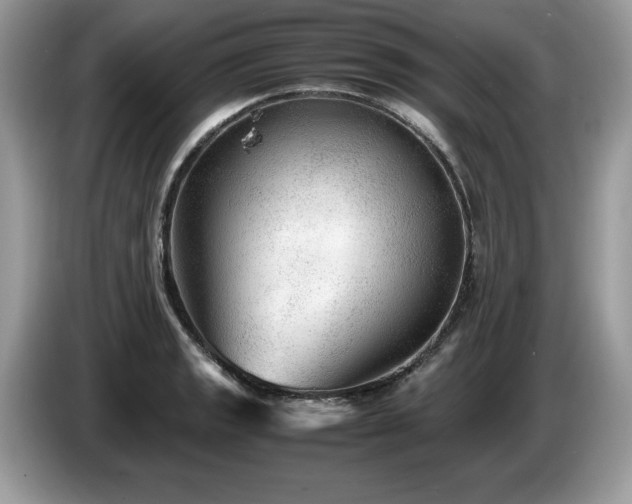 X0000087581133200704271300