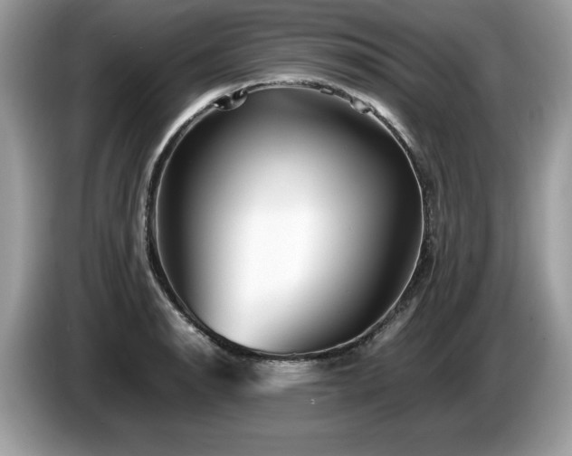 X0000087581134200704271300