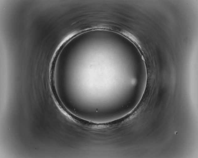 X0000087581135200704271300
