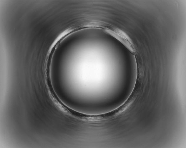 X0000087581138200704271300