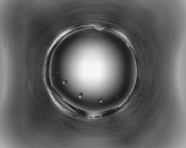 X0000087581139200704271300