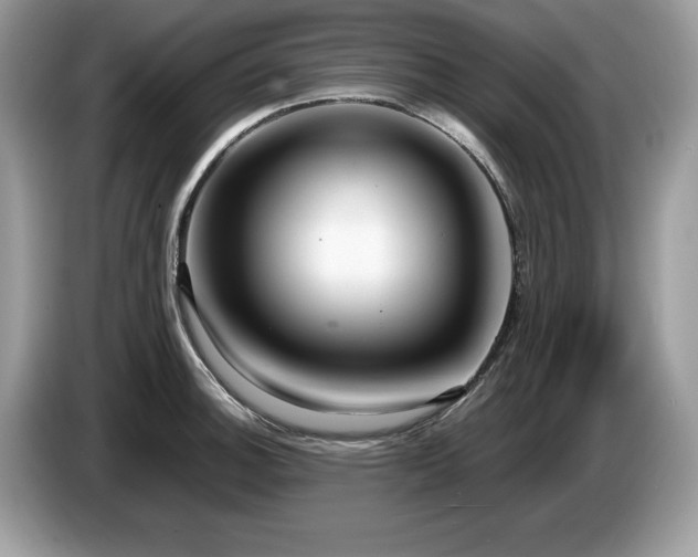 X0000087581140200704271300