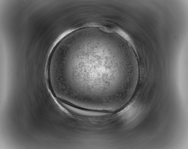 X0000087581141200704271300