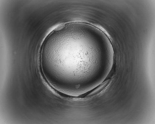 X0000087581142200704271300