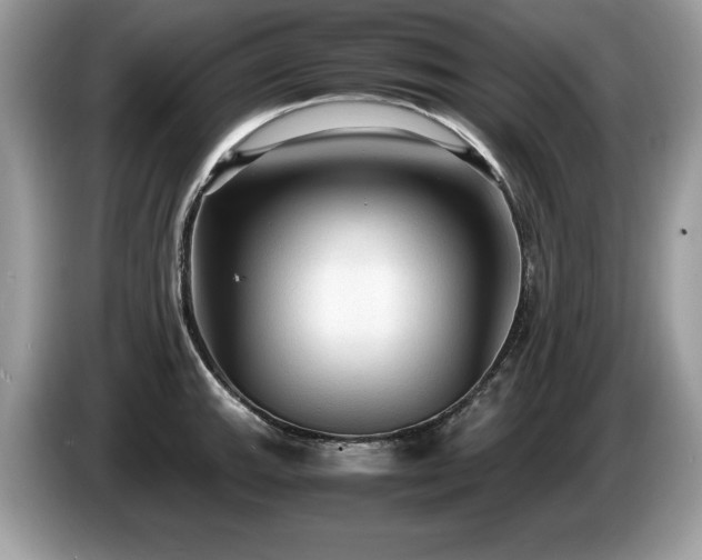 X0000087581143200704271300