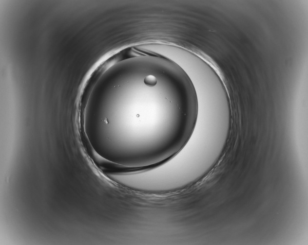 X0000087581144200704271300