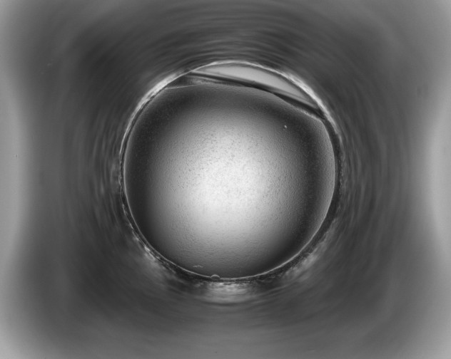 X0000087581145200704271300