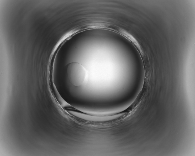 X0000087581146200704271300