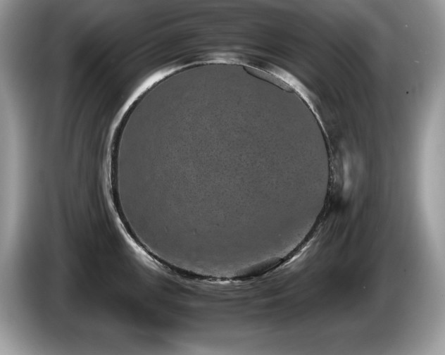 X0000087581147200704271300