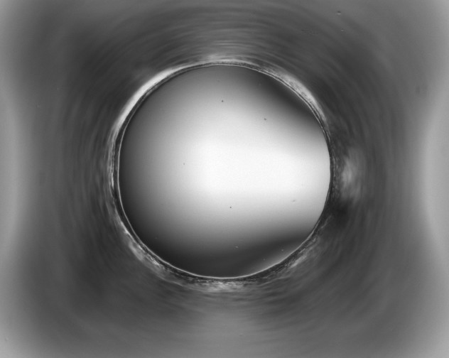 X0000087581148200704271300