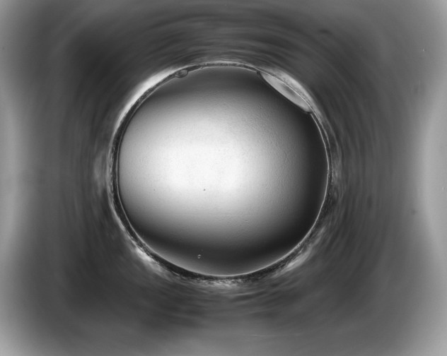 X0000087581149200704271300