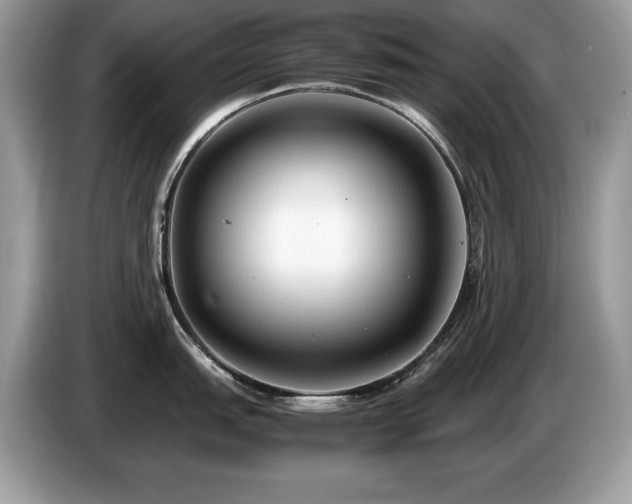 X0000087581151200704271300