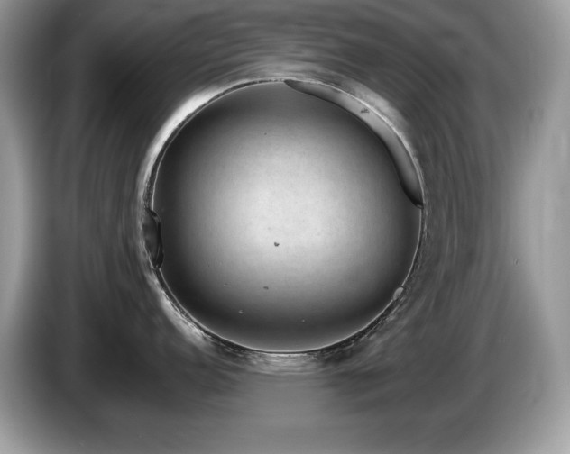 X0000087581152200704271300