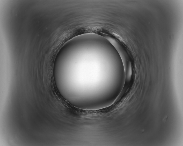X0000087581153200704271300