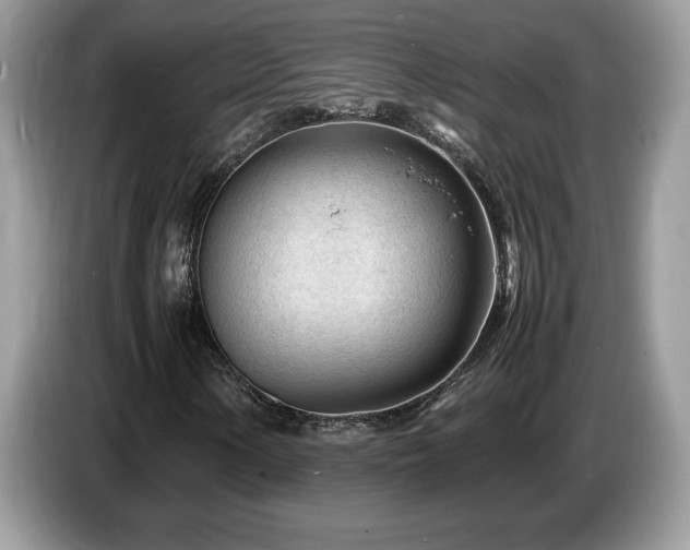 X0000087581154200704271300