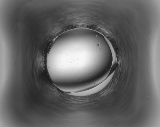 X0000087581156200704271300