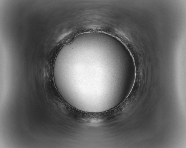 X0000087581158200704271300