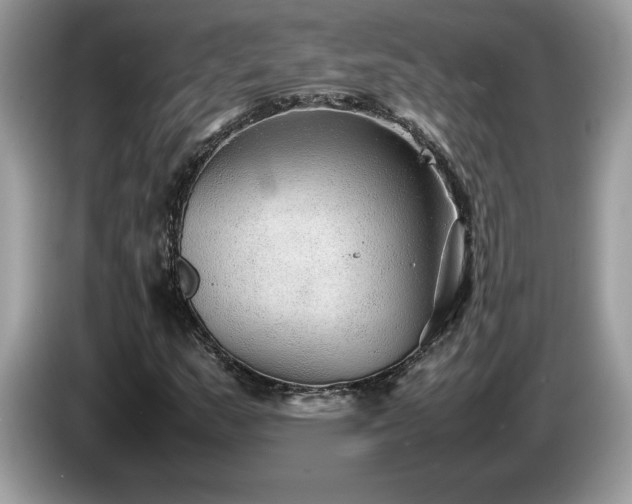 X0000087581159200704271300