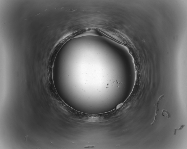 X0000087581160200704271300