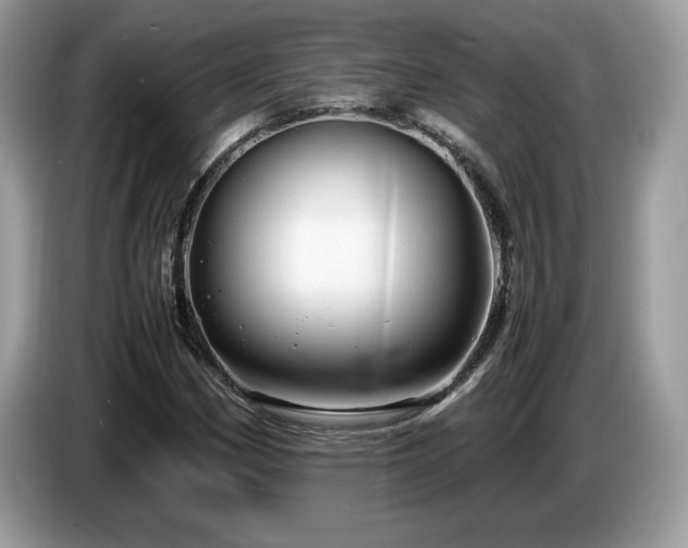 X0000087581162200704271300