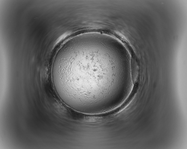 X0000087581163200704271300
