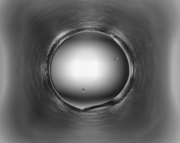 X0000087581164200704271300