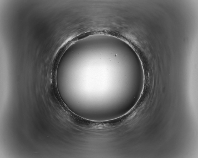 X0000087581165200704271300