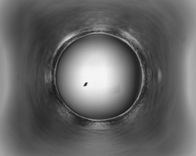 X0000087581166200704271300