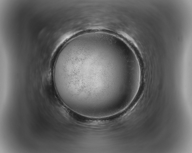 X0000087581167200704271300