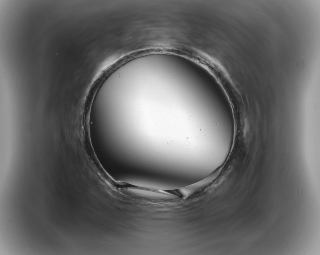 X0000087581168200704271300