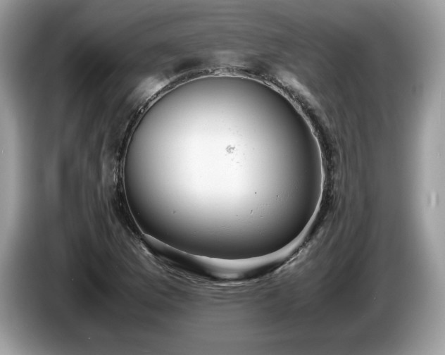 X0000087581169200704271300