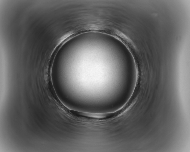 X0000087581170200704271300